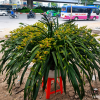 Liên hệ để được tư vấn