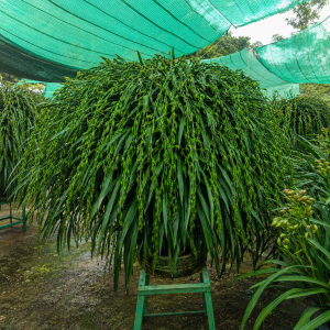 Liên hệ để được tư vấn