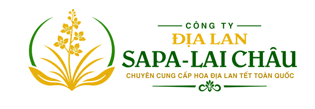 Địa Lan Sapa Lai Châu