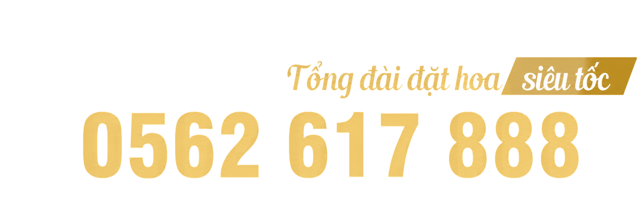Tổng đài 0562 617 888