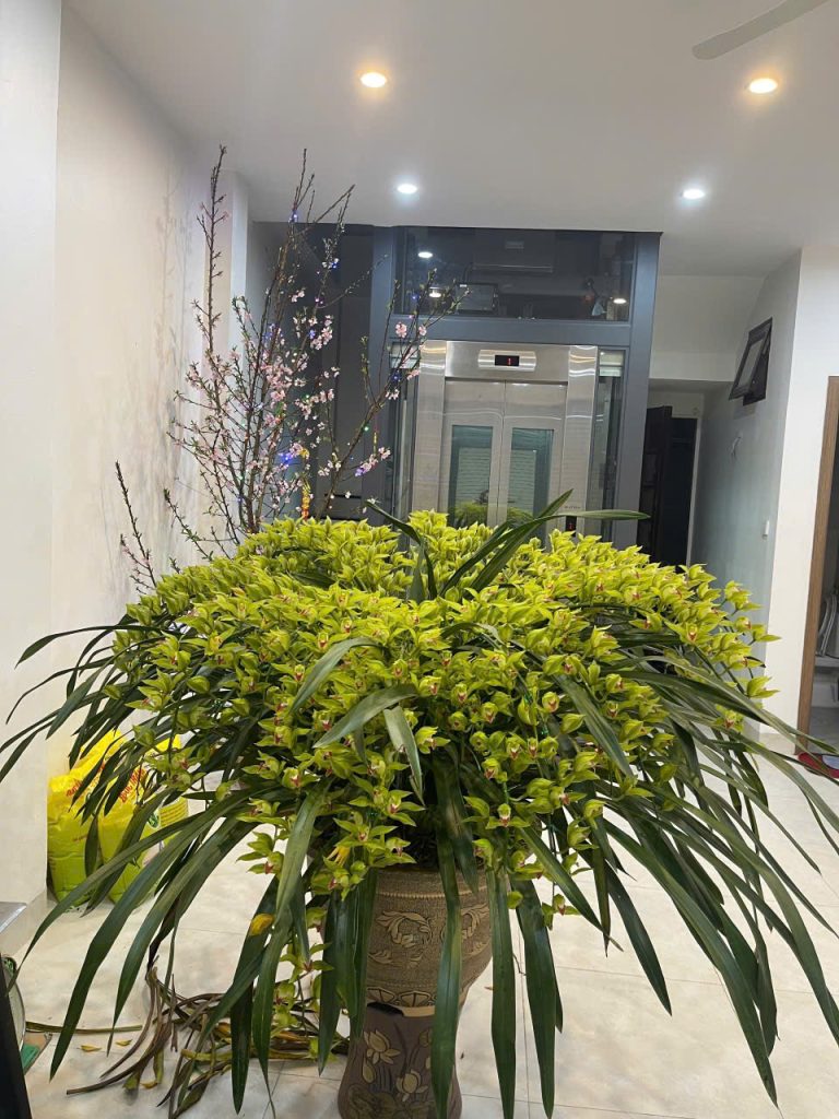 Địa Lan Sapa Lai Châu